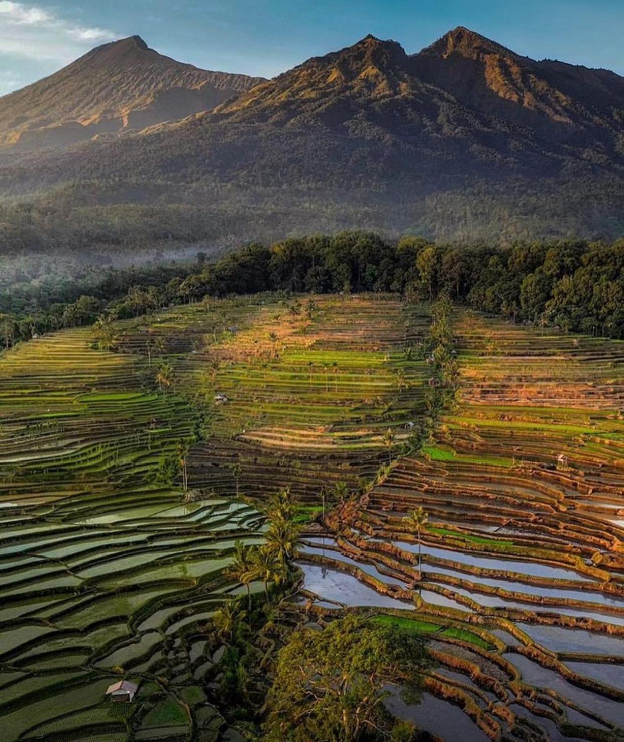 Pondok Senaru Cottages Esterno foto